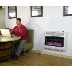 Mr. Heater F299730 30000 BTU Vent Free Blue Flame Propane Heater -DeWALT Sales Shop mrhnf299730 d