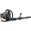 Poulan Pro 967087101 PR48BT Poulan Pro 48cc 2 Cycle Gas Backpack Leaf Blower -DeWALT Sales Shop plpn967087101